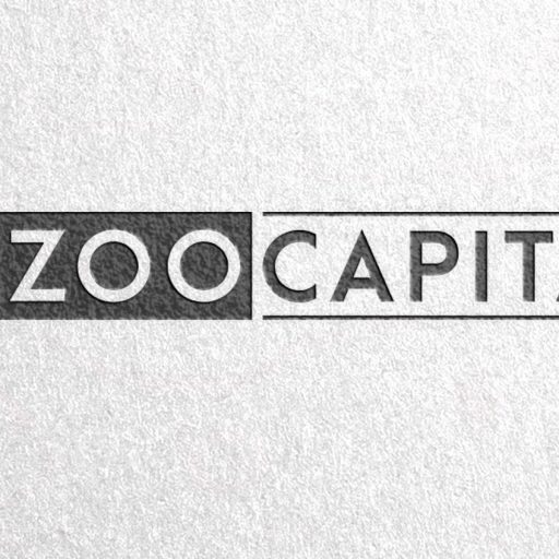 ZooCapital Blog